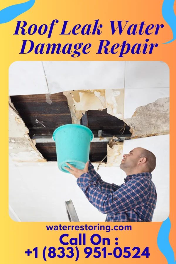 Roof Leak Water Damage Repair in Chatsworth, GA