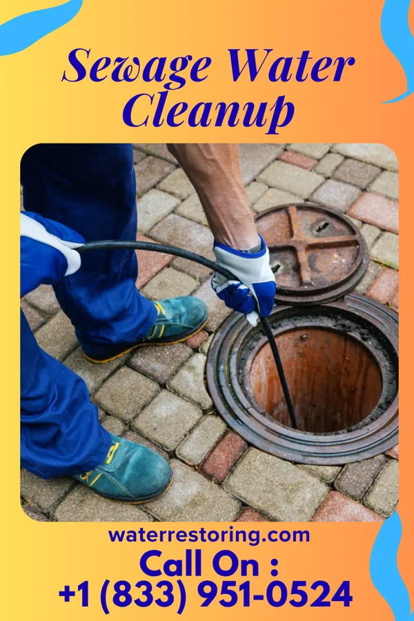 Sewage Water Cleanup in Chatsworth, GA