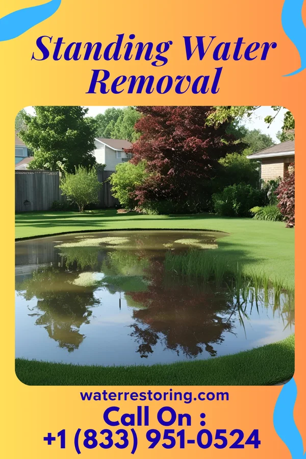 Standing Water Removal in Chatsworth, GA